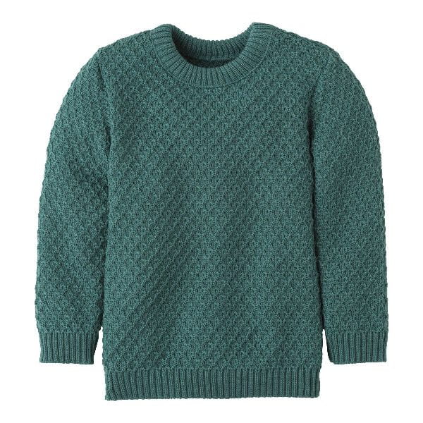 Disana 2025 Children's Aran Wool Pullover Tops & Bottoms Disana 1-2 years Eucalyptus