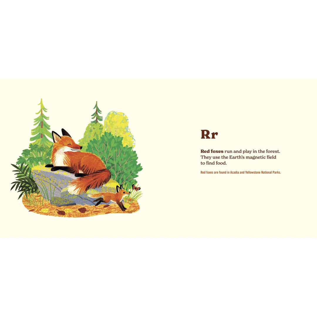 Animals of the National Parks Books Penguin Random House