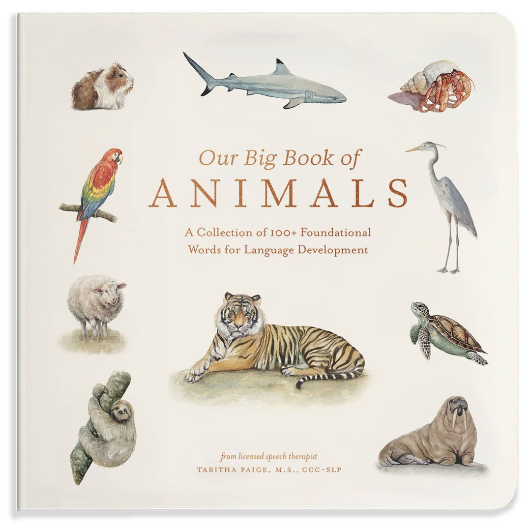 Our Big Book of Animals Board Book Books Penguin Random House
