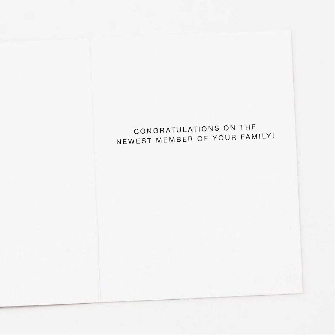 Daisy Hello Baby New Baby Greeting Card Greeting Card Apartment 2