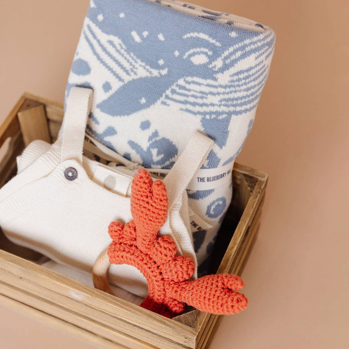 Teether Crab Crocheted Cotton Baby Gift Coastal Summer Beach Teether The Blueberry Hill
