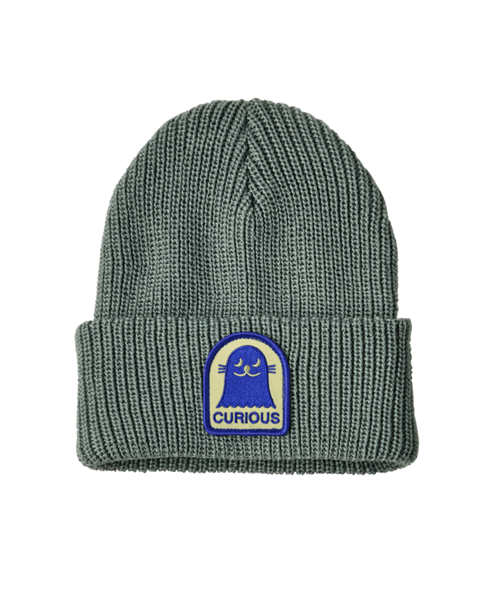 Fall 2026 Patagonia Baby Logo Beanie Baby &amp; Toddler Hats Patagonia Curious Seal Patch: Cover Green