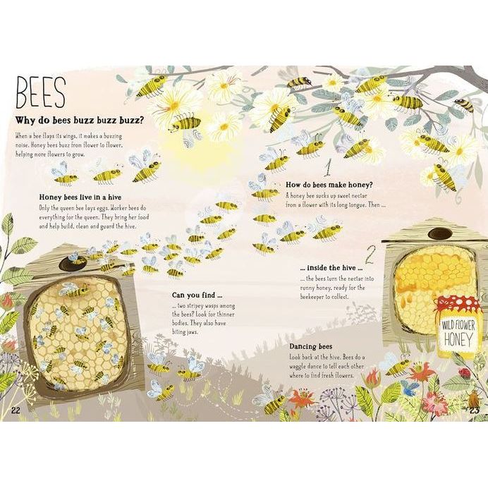 The Big Book of Bugs Books Ingram Books