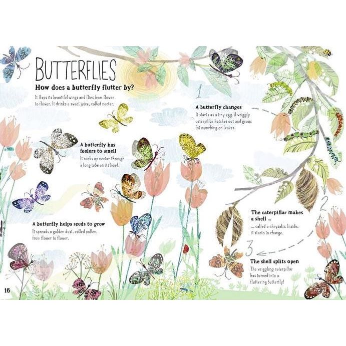The Big Book of Bugs Books Ingram Books