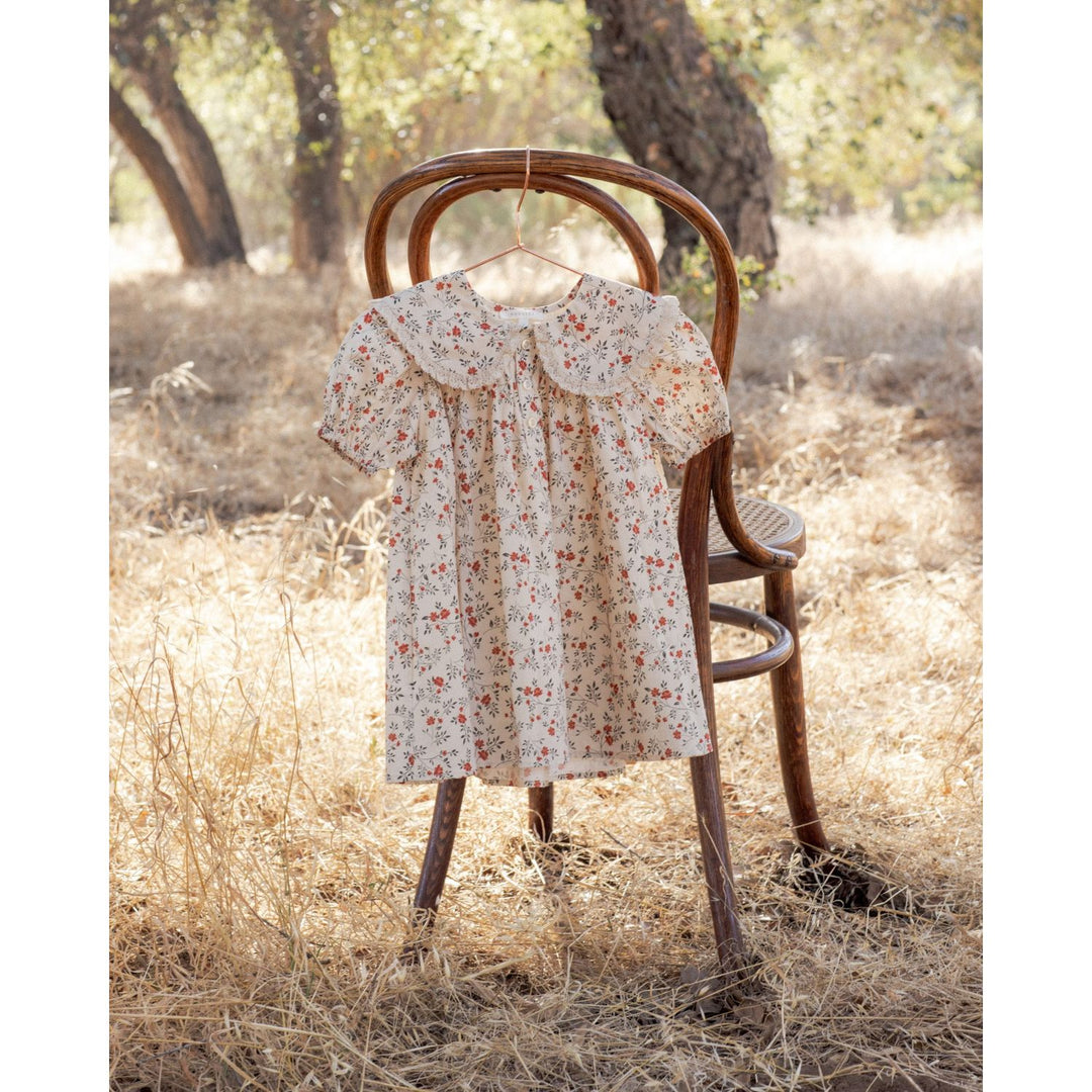 Noralee Lori Dress- Holly Vines Holiday dress Noralee