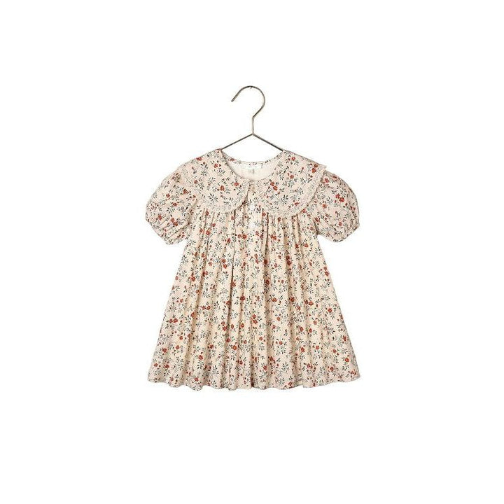 Noralee Lori Dress- Holly Vines Holiday dress Noralee 6 Months