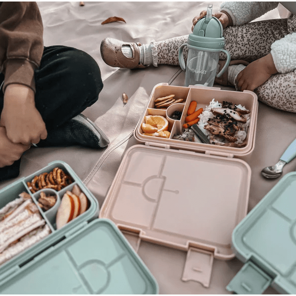Noüka Bento Chill Lunch Box Bento Boxes Noüka