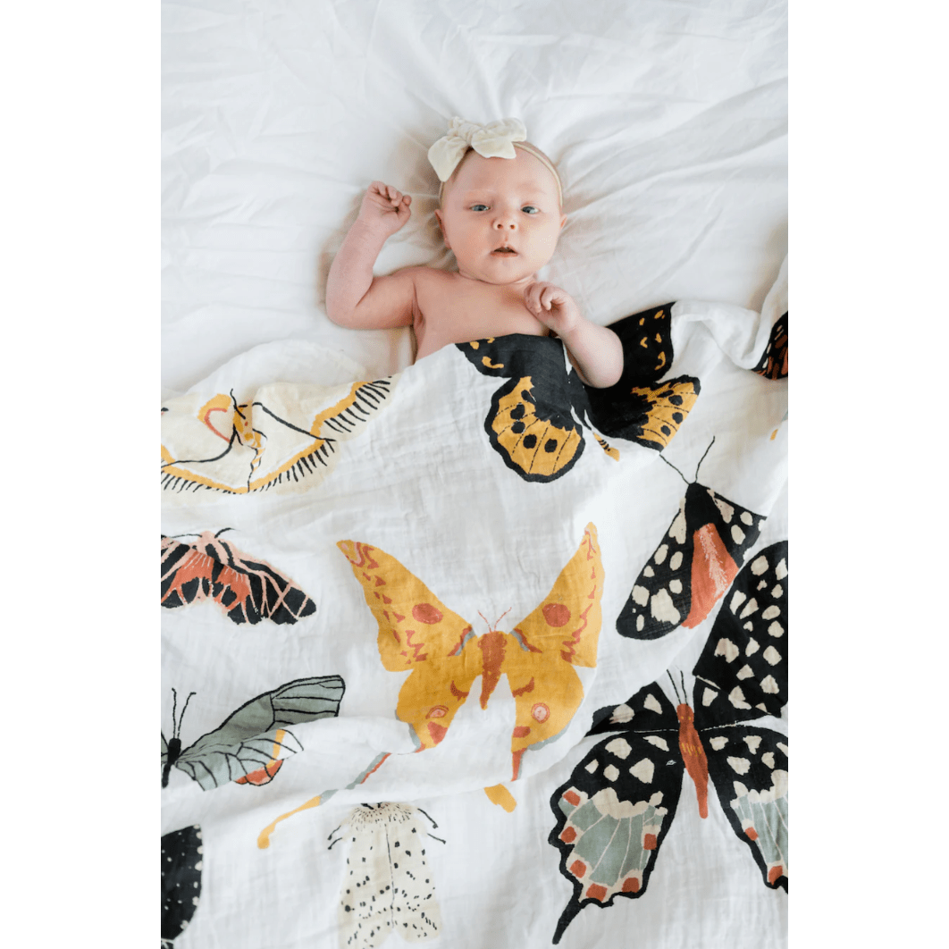 Clementine Kids Butterfly Collector Swaddle Swaddles &amp; Blankets Clementine Kids   