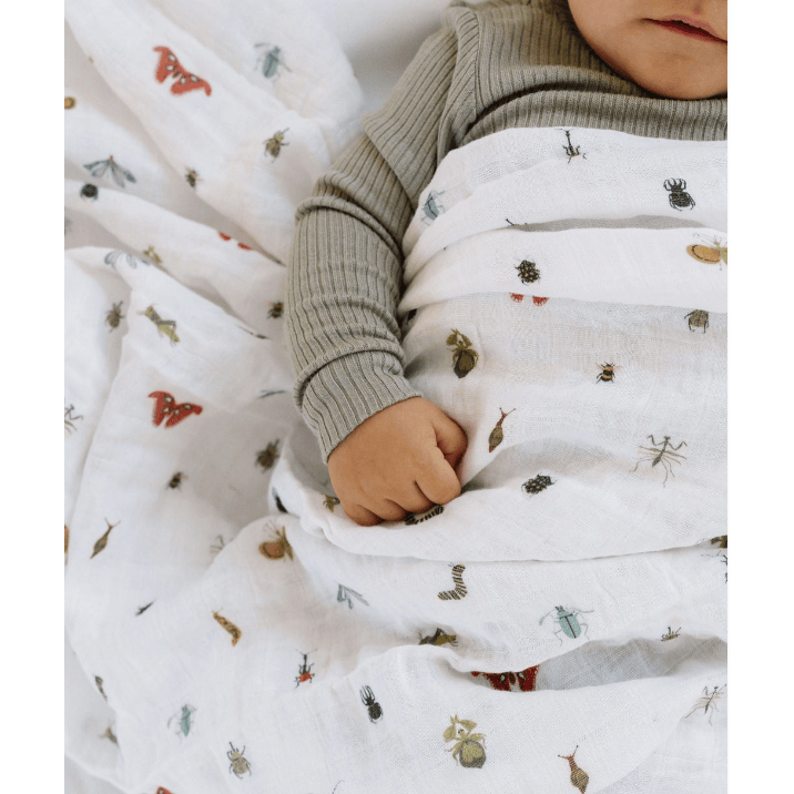Clementine Kids Cutie Crawlies Swaddle Swaddles & Blankets Clementine Kids