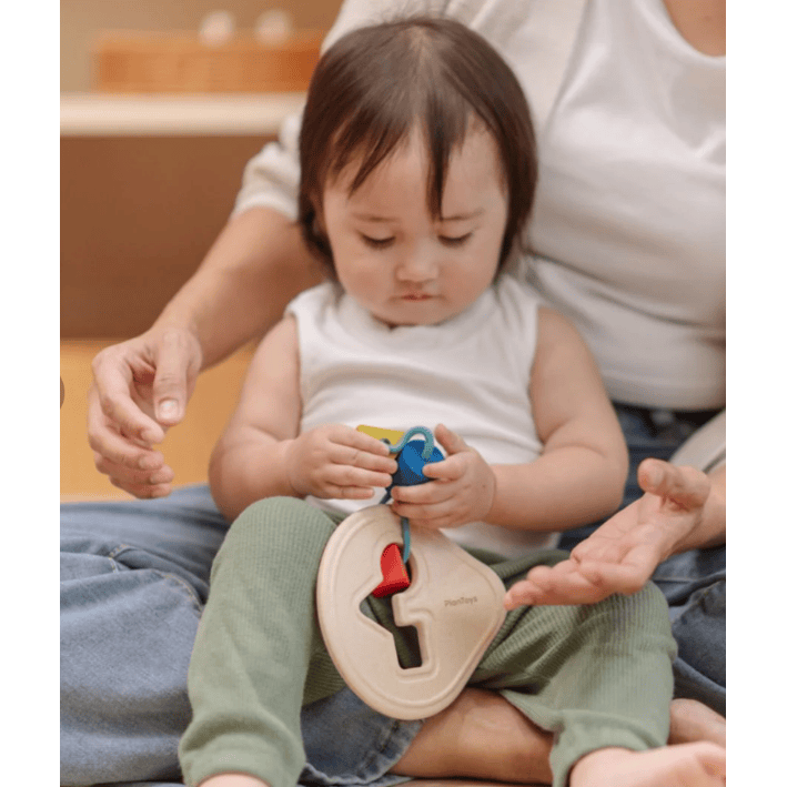 Plan Toys First Shape Sorter Puzzle and Educational Plan Toys