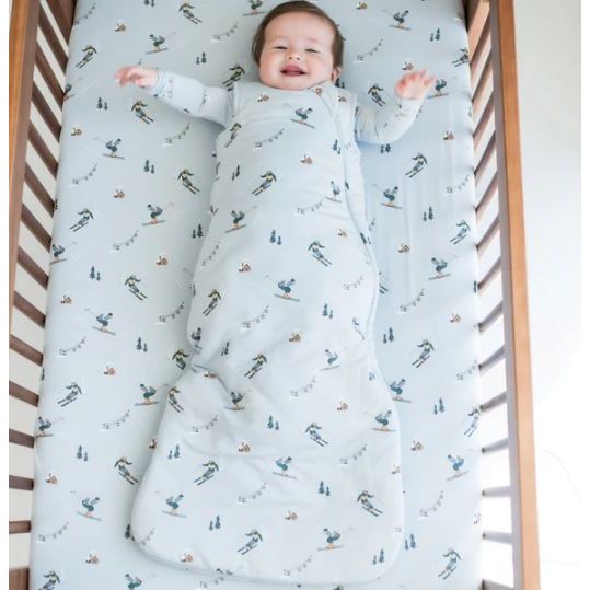 Ski_sleep_bag