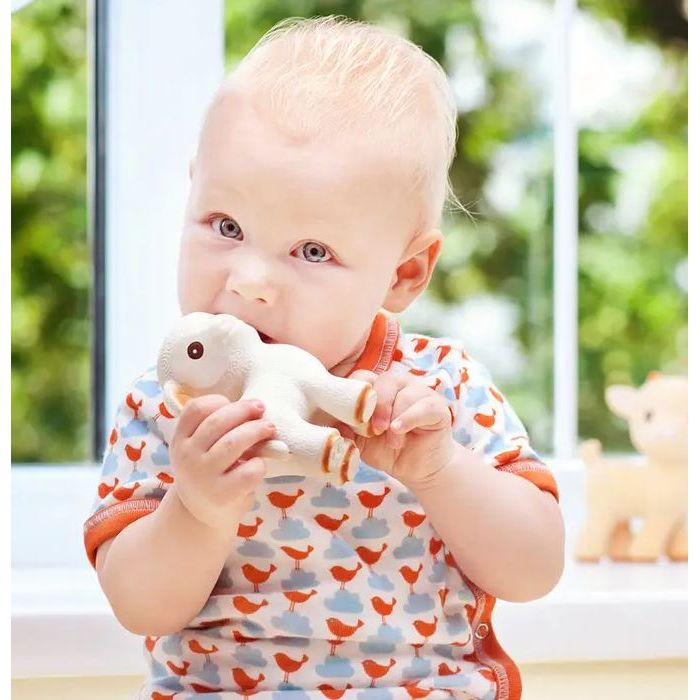 CaaOcho Natural Rubber Teether Lamb Bath Time CaaOcho