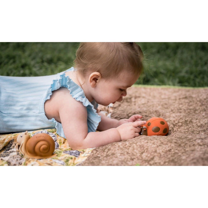 Tikiri Ladybug Teether, Rattle &amp; Bath Toy Pacifiers and Teething Tikiri