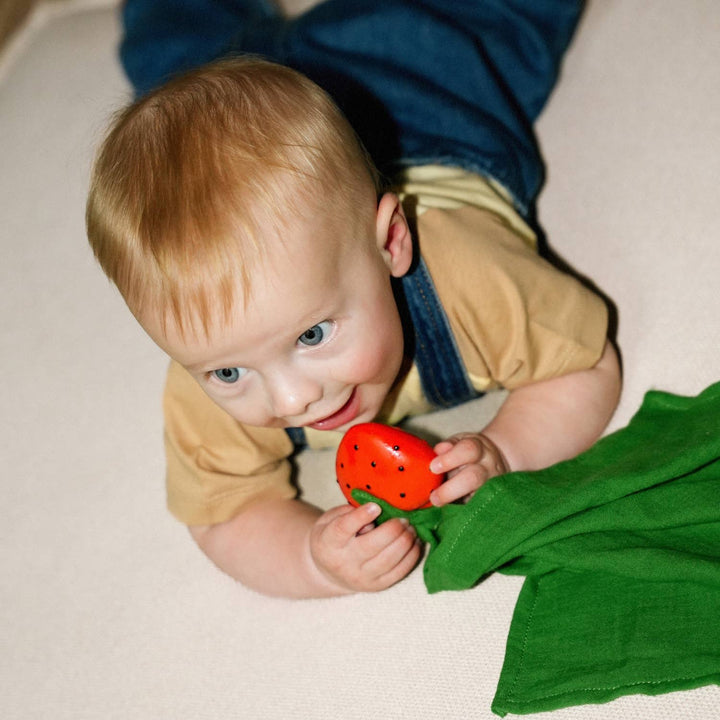 Oli &amp; Carol Sweetie the Strawberry Big Doudou Teether Oli &amp; Carol