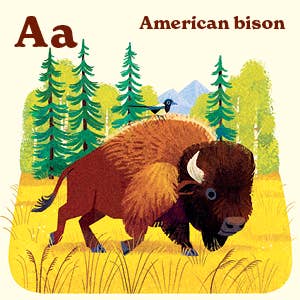 Animals of the National Parks Books Penguin Random House