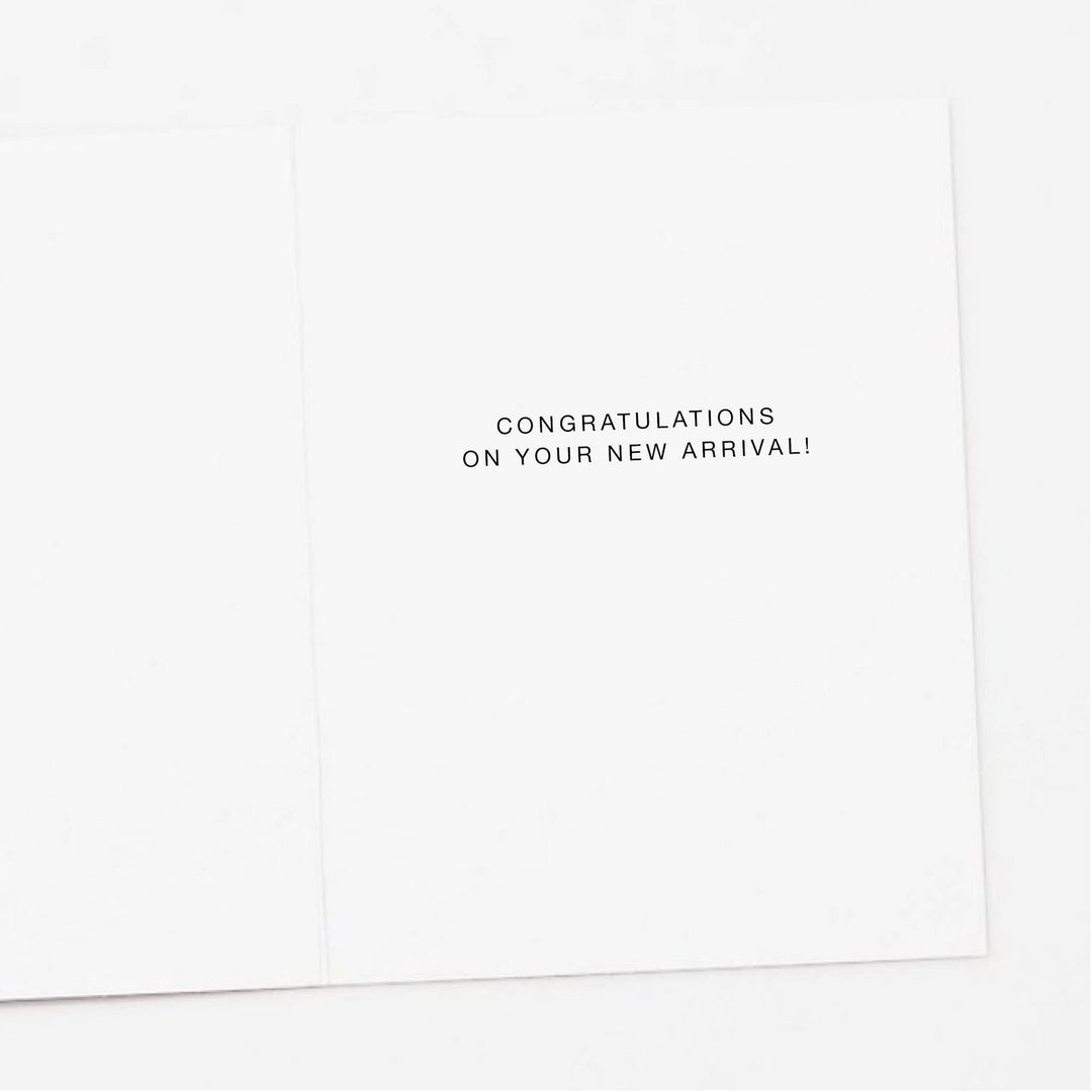 Stork Oh Baby New Baby Greeting Card Greeting Card Apartment 2