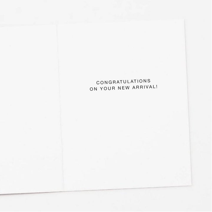 Stork Oh Baby New Baby Greeting Card Greeting Card Apartment 2
