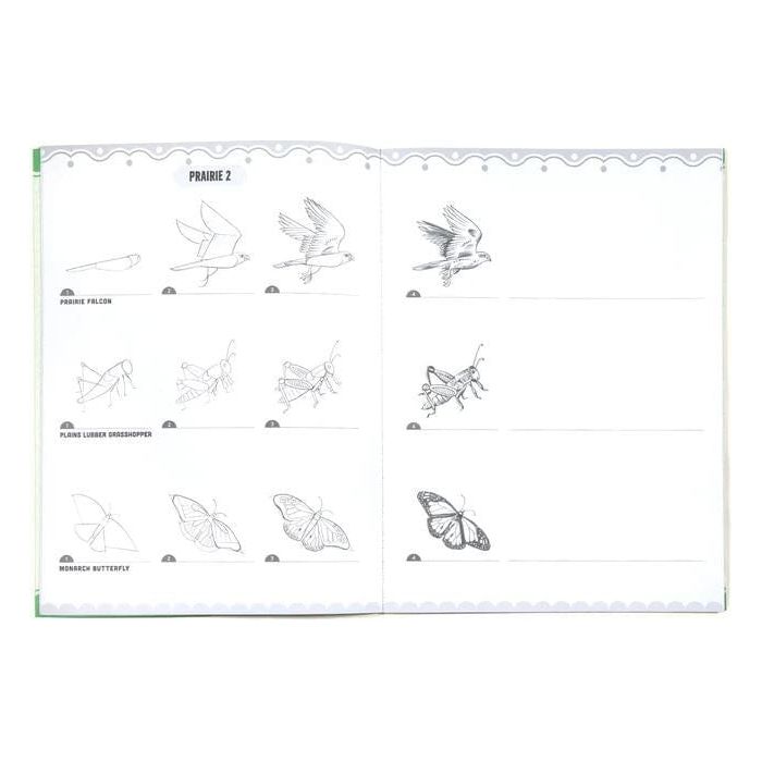 eeBoo Learn To Draw- Bugs, Birds &amp; Butterflies Sketchbook eeBoo