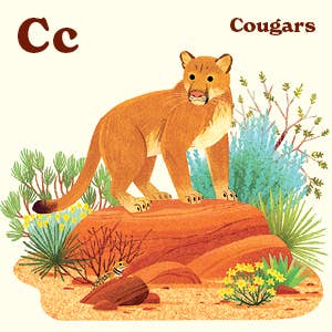 Animals of the National Parks Books Penguin Random House