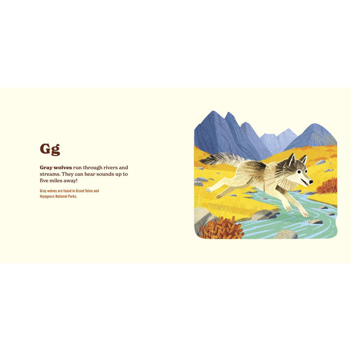 Animals of the National Parks Books Penguin Random House