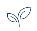 Simple line drawing of a leaf on a white background