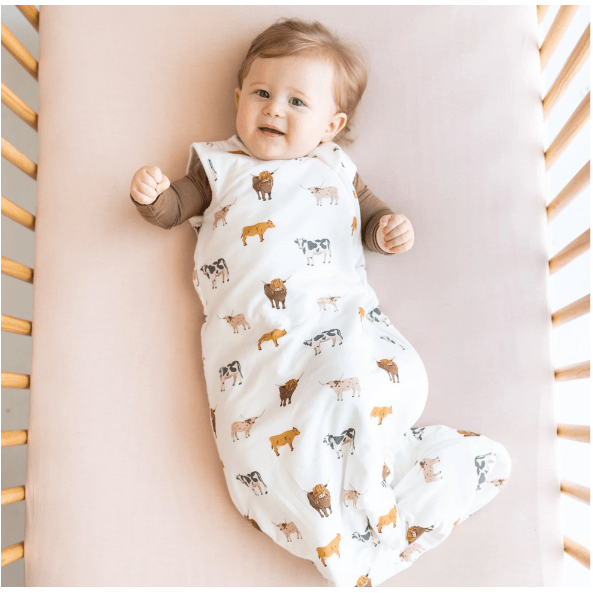 Kyte Baby Sleep Bag 1.0 Sleep Bags Kyte Baby