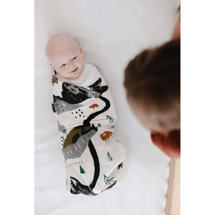 Clementine Kids National Parks Swaddle Swaddles &amp; Blankets Clementine Kids   