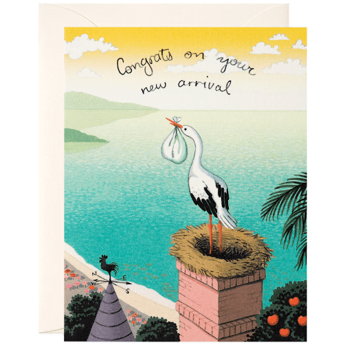 Stork Delivery Greeting Card Greeting cards JooJoo Paper Stork Delivery Greeting Card