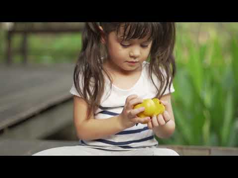 Plan Toys Wonky Fruit &amp; Vegetables Toddler And Pretend Play Plan Toys