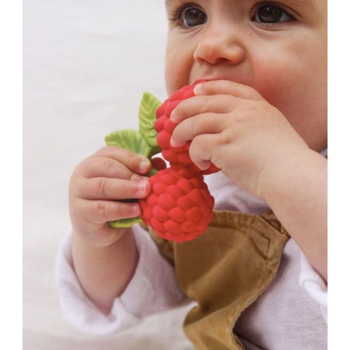 Oli &amp; Carol - Valery the Raspberry Pacifiers and Teething Oli &amp; Carol