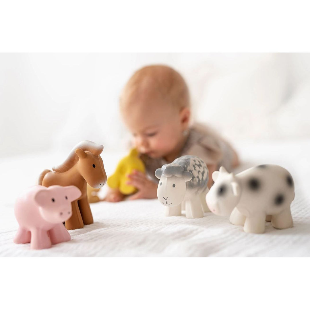 Tikiri Pig Teether, Rattle &amp; Bath Toy Pacifiers and Teething Tikiri   