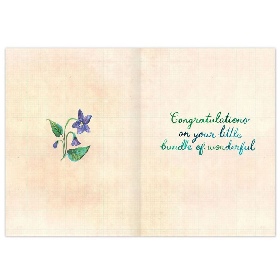 Biely &amp; Shoaf Garden Welcome Sweet Baby Card Greeting Card Biely &amp; Shoaf