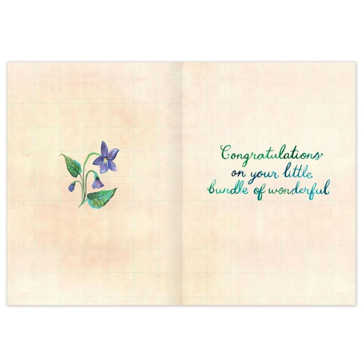 Biely &amp; Shoaf Garden Welcome Sweet Baby Card Greeting Card Biely &amp; Shoaf