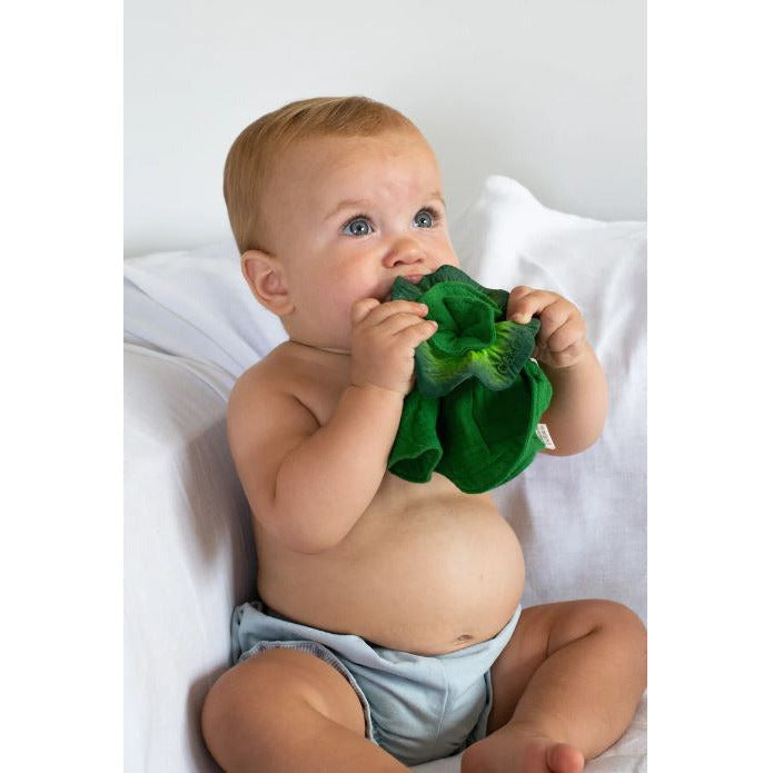 Oli &amp; Carol Kale Mini Doudou Teether - Pacifiers and Teething Oli &amp; Carol   
