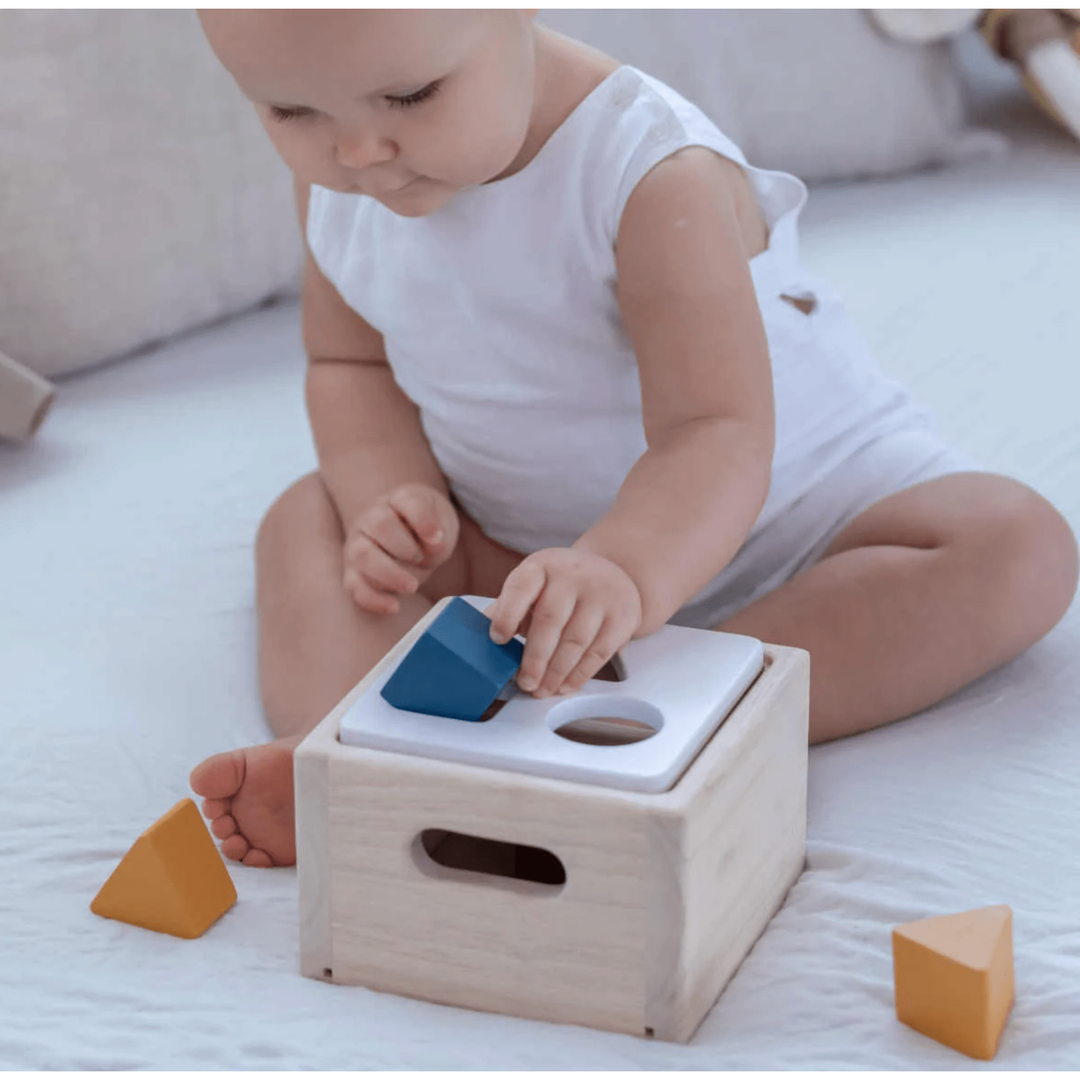 Plan Toys Shape &amp; Sort It Out Orchard Sorting &amp; Stacking Toys Plan Toys