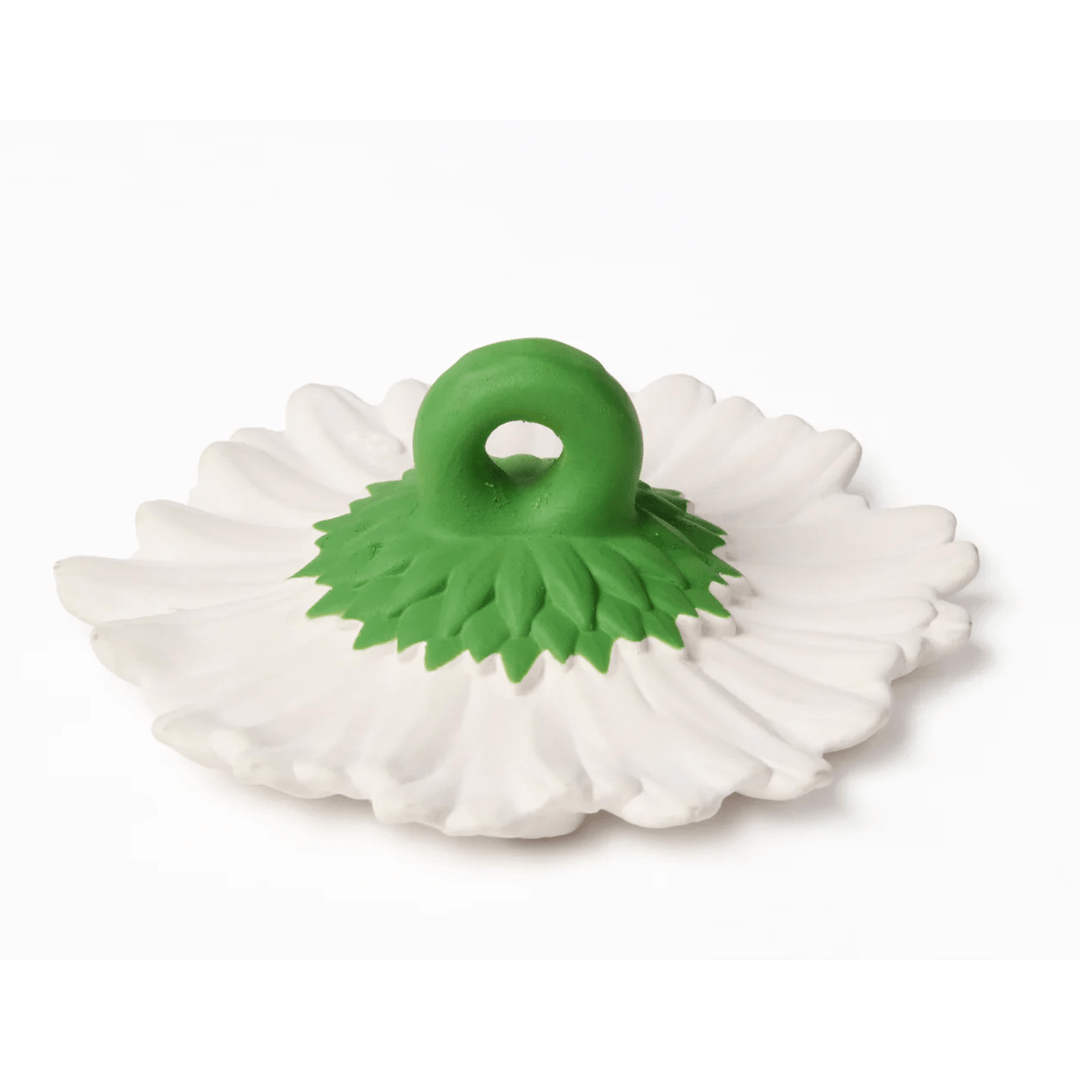 Oli &amp; Carol Margarita The Daisy Pacifiers and Teething Oli &amp; Carol   