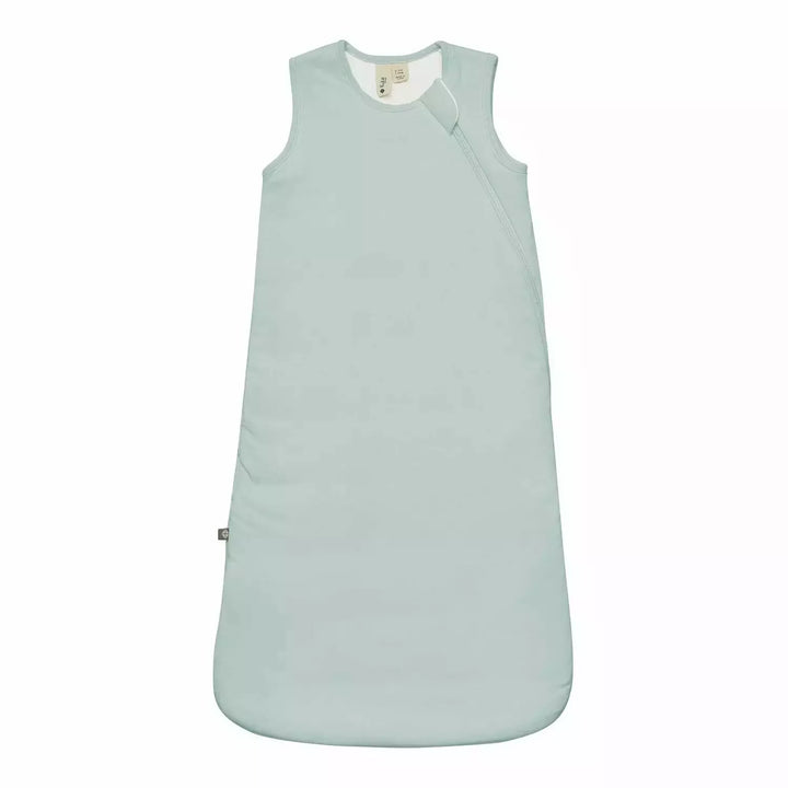 Kyte Baby Sleep Bag 1.0 Sleep Bags Kyte Baby XS Sage
