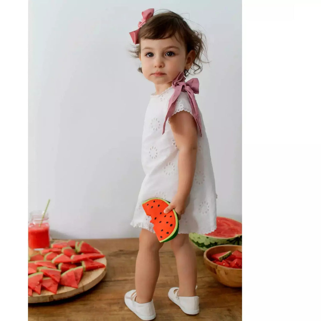 Oli &amp; Carol - Wally the Watermelon Pacifiers and Teething Oli &amp; Carol   